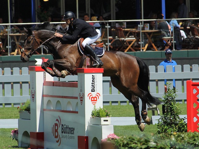 的重要舞台 的重要舞台