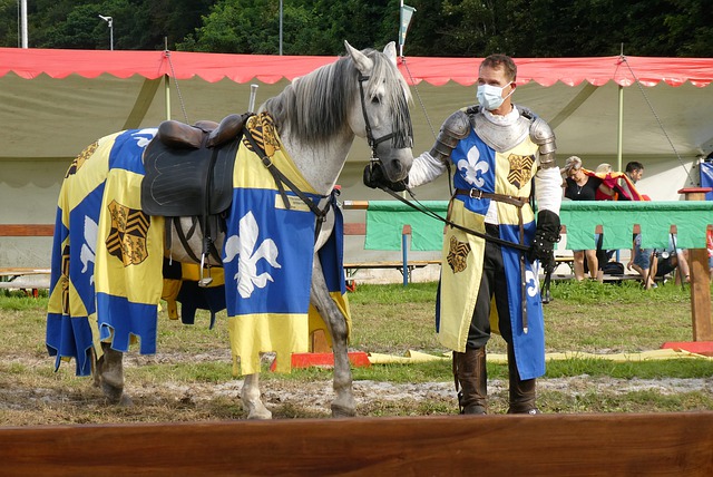 期待的希望 期待的希望