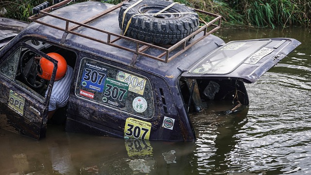 年轻潜力 年轻潜力