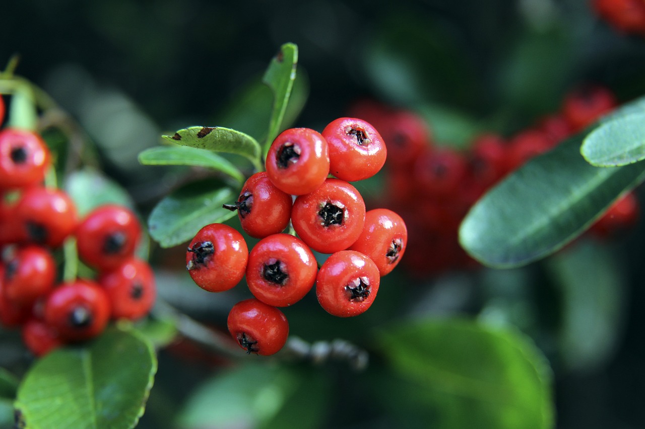 这无疑再次 这无疑再次