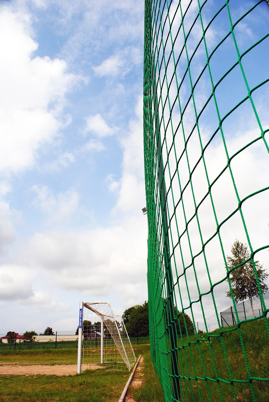 分析其獲得 分析其獲得